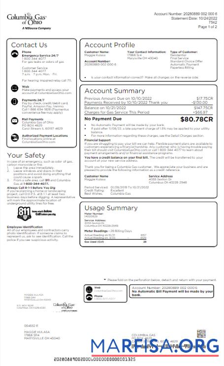 Downloadable USA COLUMBIA GAS OF OHIO utility bill Word and PDF template